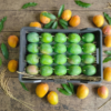 Royal Bite (60 Mango | 300gm+)