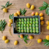 Mango Madness (120 Mango)
